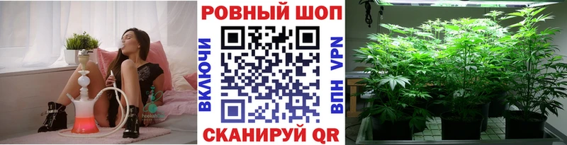 Что такое Азов Метадон Канабис МЕФ Псилоцибиновые грибы Гашиш АМФЕТАМИН Alpha-PVP